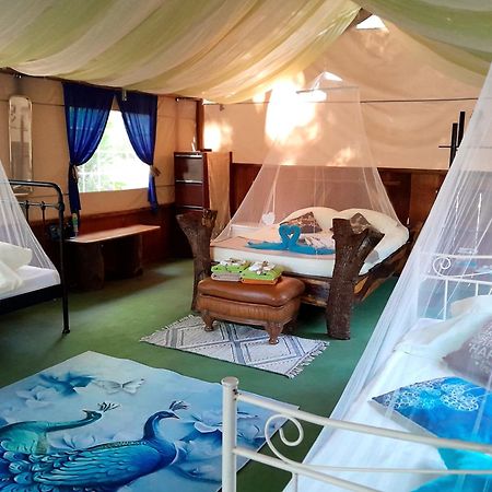 Fully Furnished Family Jungle Tent, Latino Glamping Paquera Luaran gambar