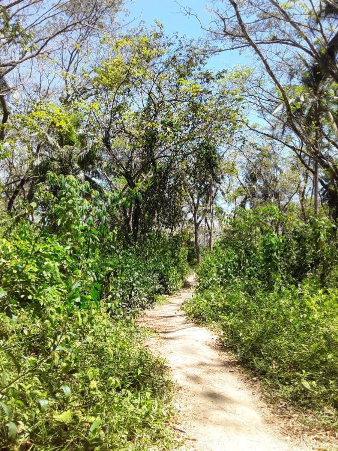 Fully Furnished Family Jungle Tent, Latino Glamping Paquera Luaran gambar