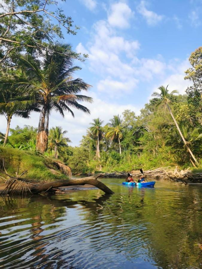 Fully Furnished Family Jungle Tent, Latino Glamping Paquera Luaran gambar