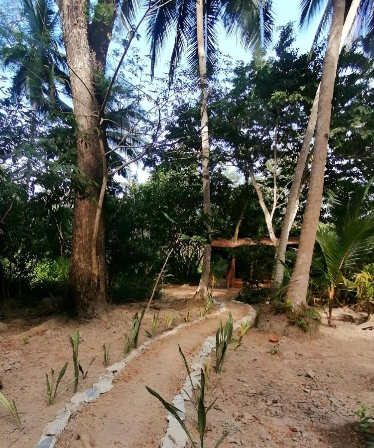 Fully Furnished Family Jungle Tent, Latino Glamping Paquera Luaran gambar