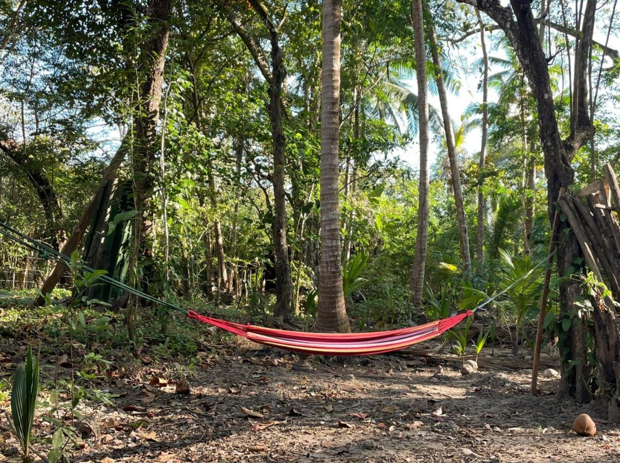 Fully Furnished Family Jungle Tent, Latino Glamping Paquera Luaran gambar