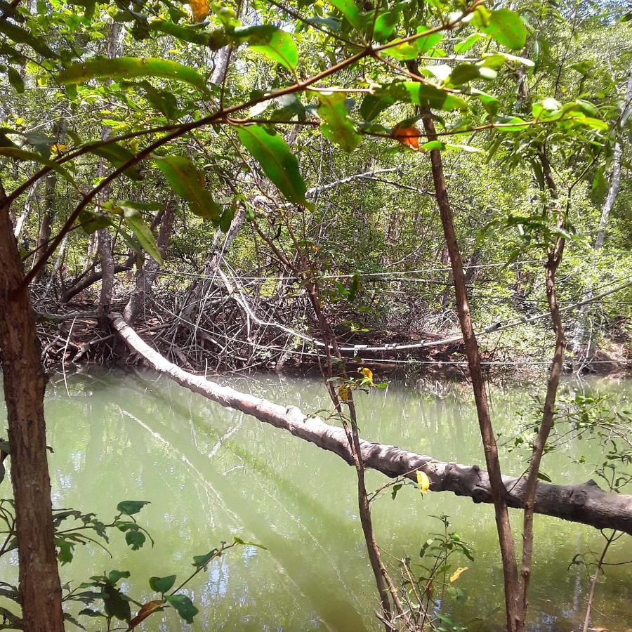 Fully Furnished Family Jungle Tent, Latino Glamping Paquera Luaran gambar