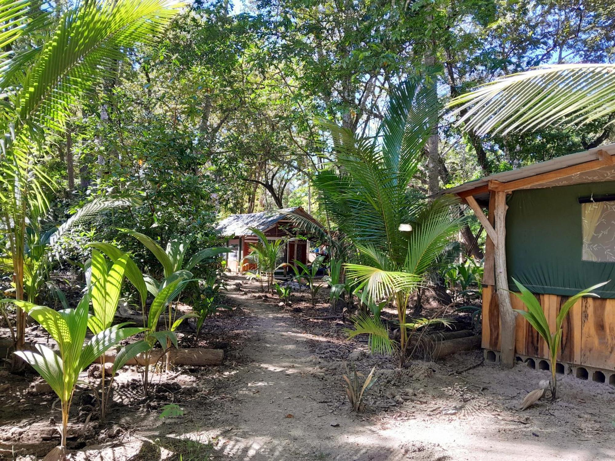 Fully Furnished Family Jungle Tent, Latino Glamping Paquera Luaran gambar