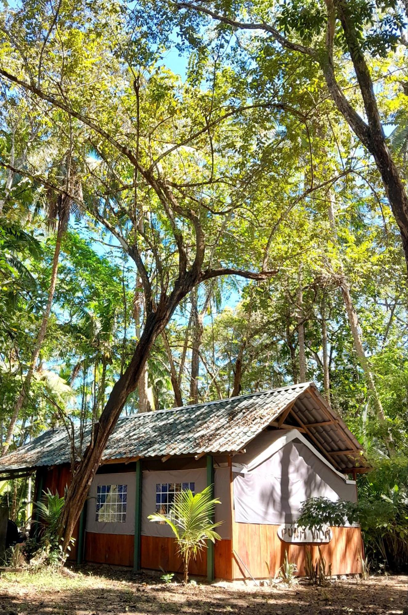 Fully Furnished Family Jungle Tent, Latino Glamping Paquera Luaran gambar