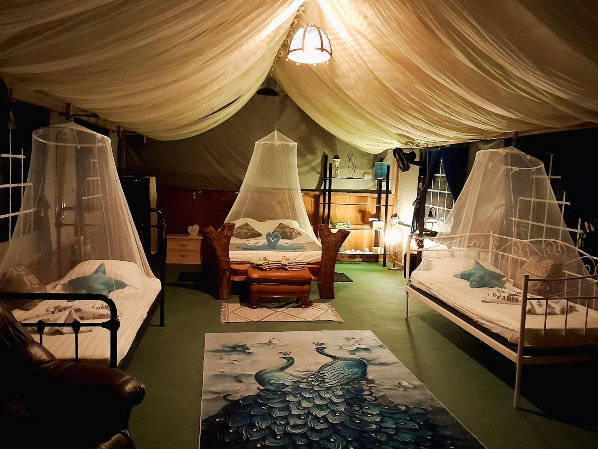 Fully Furnished Family Jungle Tent, Latino Glamping Paquera Luaran gambar