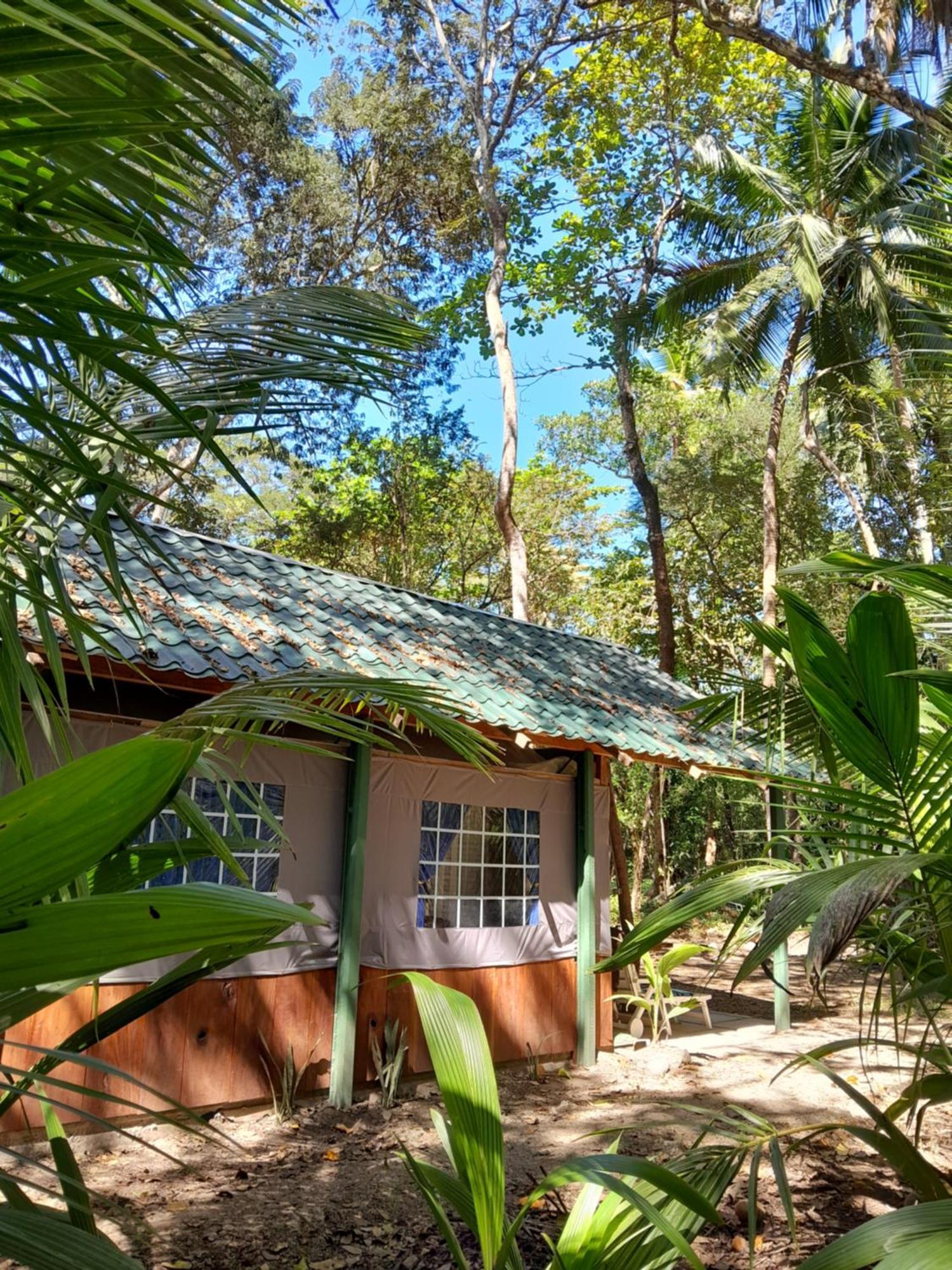 Fully Furnished Family Jungle Tent, Latino Glamping Paquera Luaran gambar