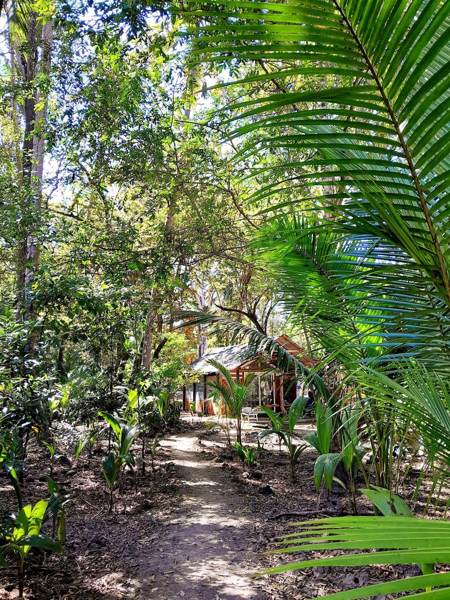 Fully Furnished Family Jungle Tent, Latino Glamping Paquera Luaran gambar