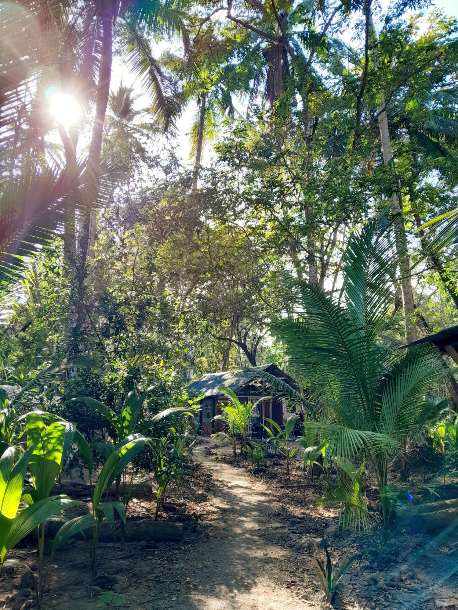 Fully Furnished Family Jungle Tent, Latino Glamping Paquera Luaran gambar